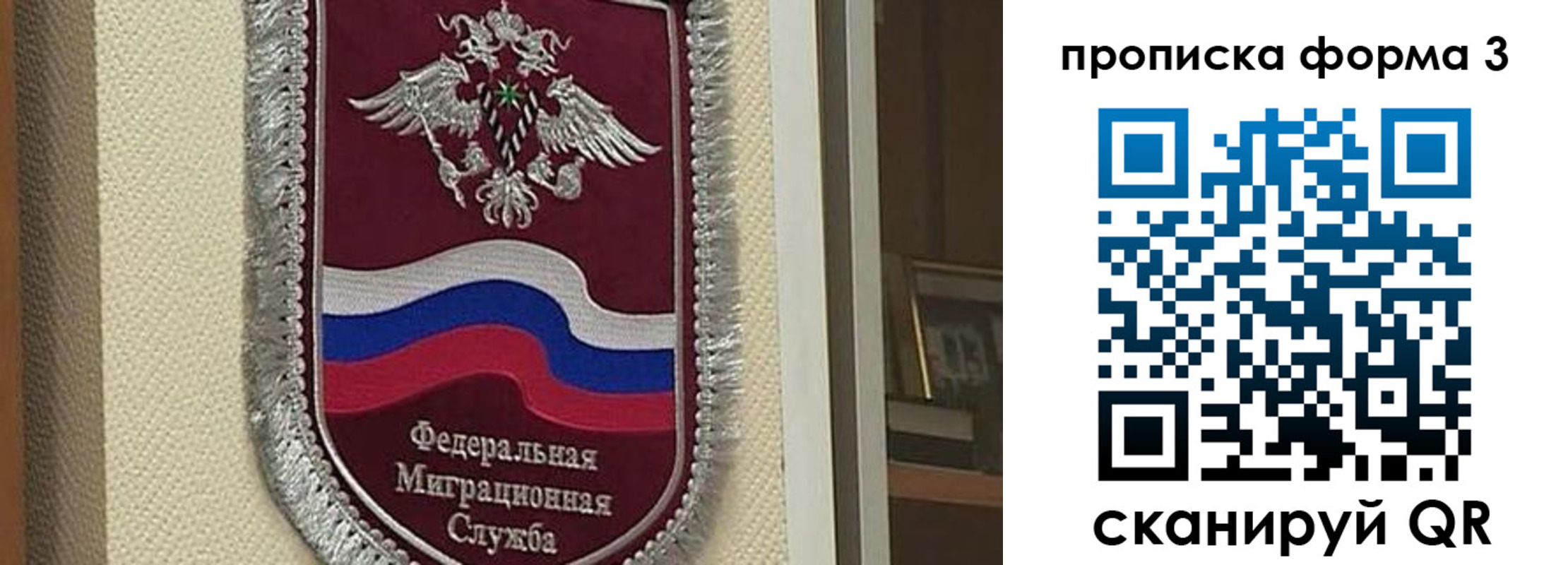 где прописаться в Алексине